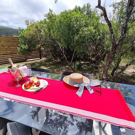 Alkantmooi Private Nature Reserve - Keurkloof & Keurbos 93 プレッテンバーグ・ベイ エクステリア 写真