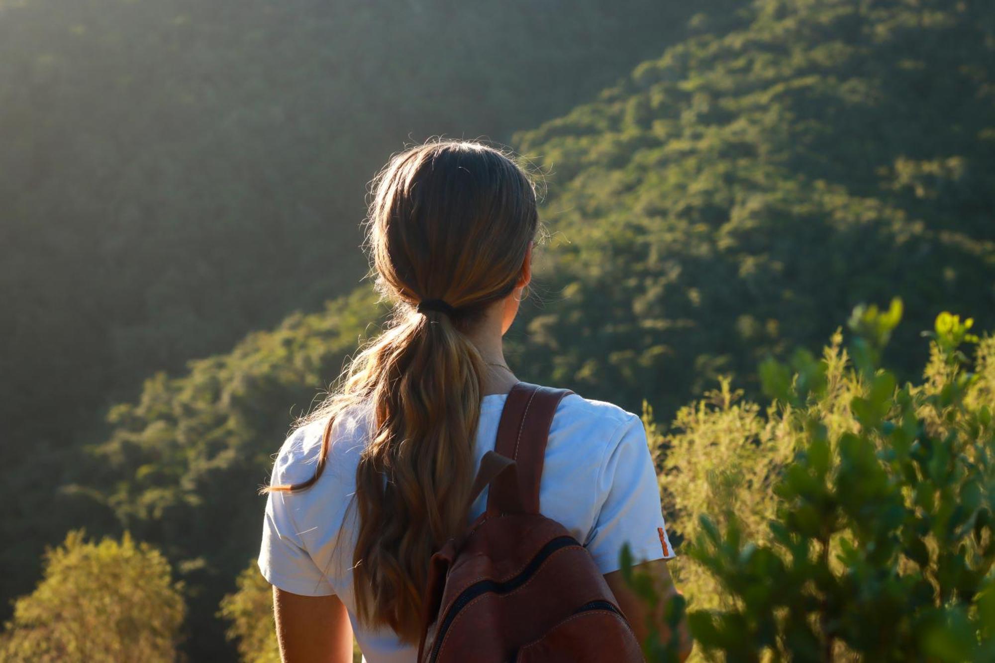 Alkantmooi Private Nature Reserve - Keurkloof & Keurbos 93 プレッテンバーグ・ベイ エクステリア 写真