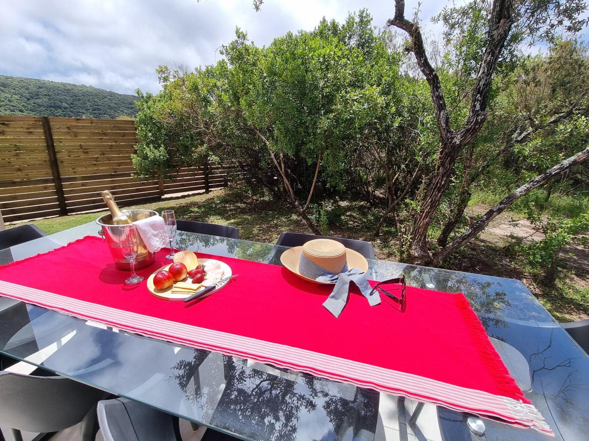 Alkantmooi Private Nature Reserve - Keurkloof & Keurbos 93 プレッテンバーグ・ベイ エクステリア 写真